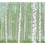 print-silver birches silver