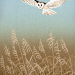 Silent-flight-Gill-Thornton