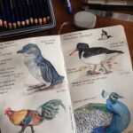 Nature journal - Deborah Key