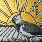 Peewit - Deborah Key