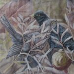 Deborah Plaskett